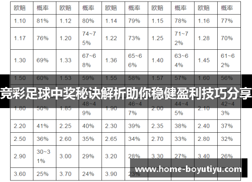 竞彩足球中奖秘诀解析助你稳健盈利技巧分享